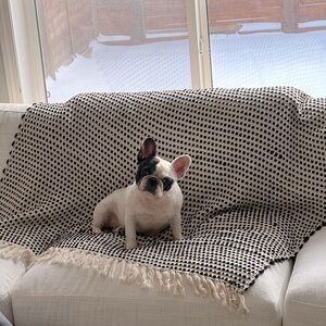 Meet your Posher, Pat